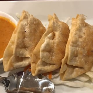 Curry Potsticker (4)